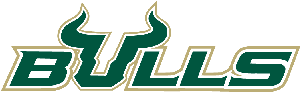 South Florida Bulls 2003-Pres Wordmark Logo vinyl decal